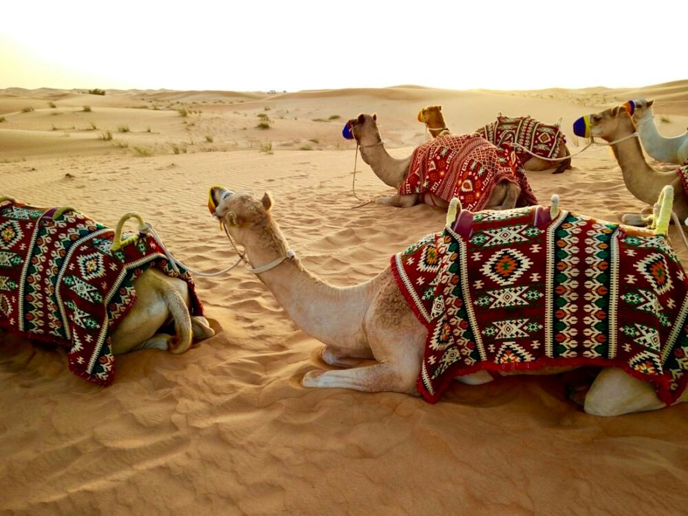 Heritage & Tourism Experience